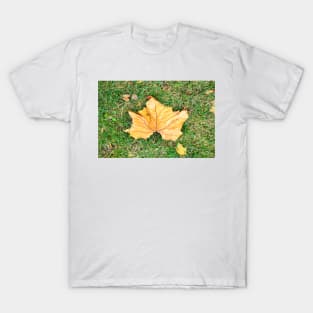 Big "Maple" Leaf T-Shirt